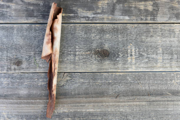 istock Tree Bark rolled up arranged against wood. 1142075943