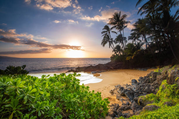 istock Sunset on a beach in Hawaii 1142076208