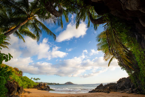istock Sunset on a beach in Hawaii 1142076316