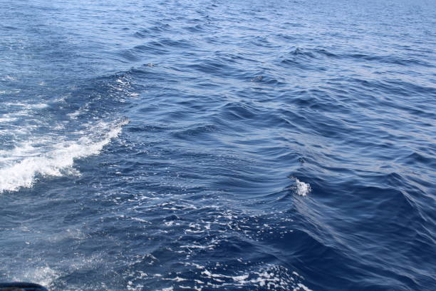 istock Blue and clean red sea 1142088121