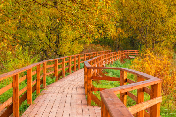 istock wooden bridge and a trail in an autumn empty park 1142099541