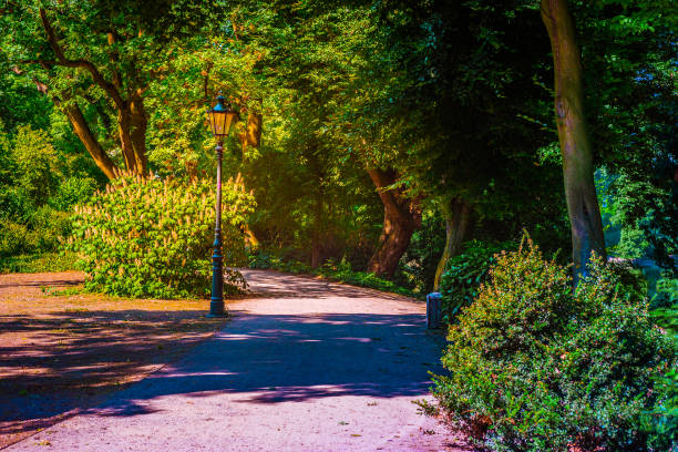 istock Lantern in the park. Background photo 1142100019