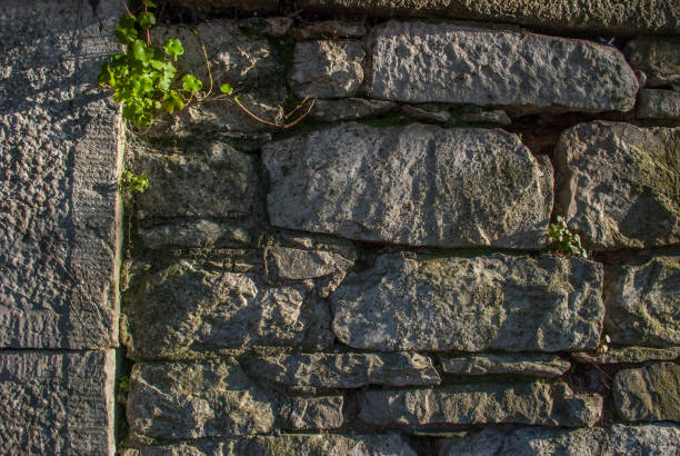 the old stone wall texture. the old stone wall texture background natural color. pattem stock pictures, royalty-free photos & images