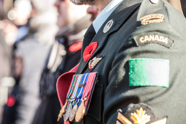 Details of the uniform of Canadian Army ground forces with the Remembrance poppy and medals, seen from behing, during the ceremony for Remembrance day stock photo