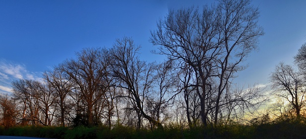Dusk Sunset views through winter tree branches by Opryland along the Shelby Bottoms Greenway and Natural Area Cumberland River, Nashville, Tennessee. United States.