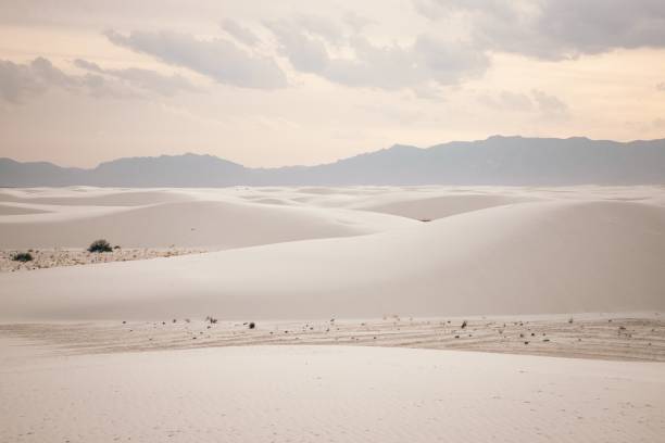 white sands dunes - monumento nacional de white sands fotografías e imágenes de stock