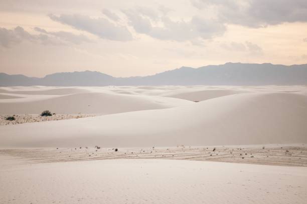 white sands dunes - white sands national monument imagens e fotografias de stock