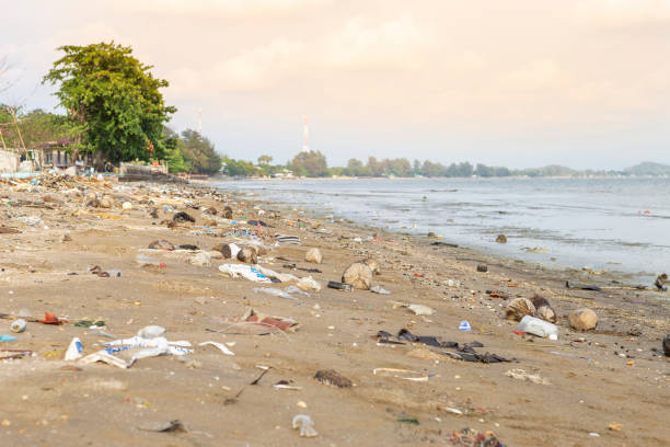 istock Garbage on the beach in Thailand, dirty beach 1142115589