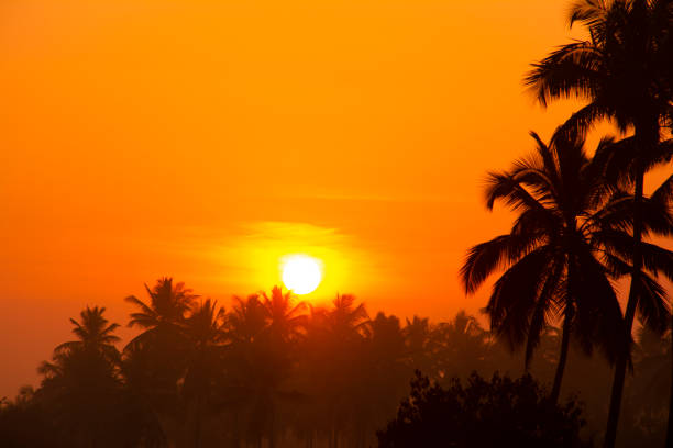 istock Sunset In The Horizon 1142118572