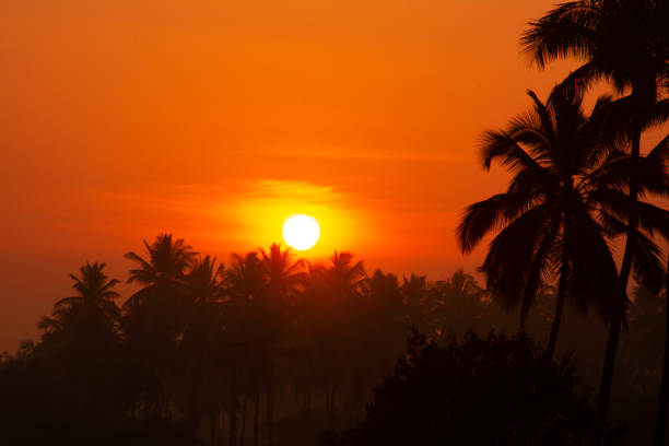 istock Sunset In The Horizon 1142118576