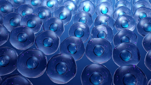 istock healthy cells with mitochondria 1142118588
