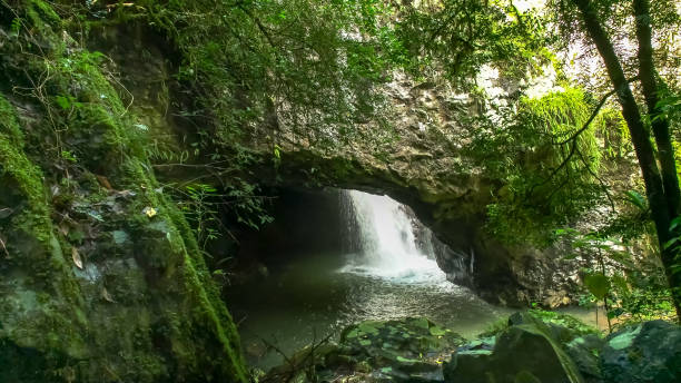 istock natural bridge in springbrook national park, australia 1142124101
