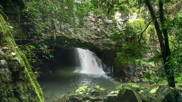 istock natural bridge in springbrook national park, qld 1142124129