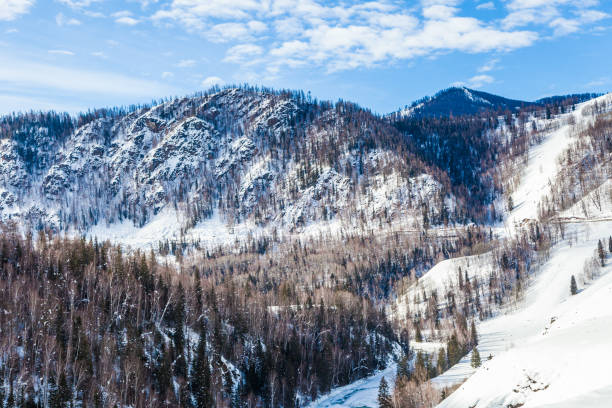 istock Snow mountain and forest,Altai Mountain,Xinjiang,China. 1142125191