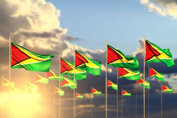 istock beautiful many Guyana flags on sunset placed in row with bokeh and place for text - any celebration flag 3d illustration 1142132901