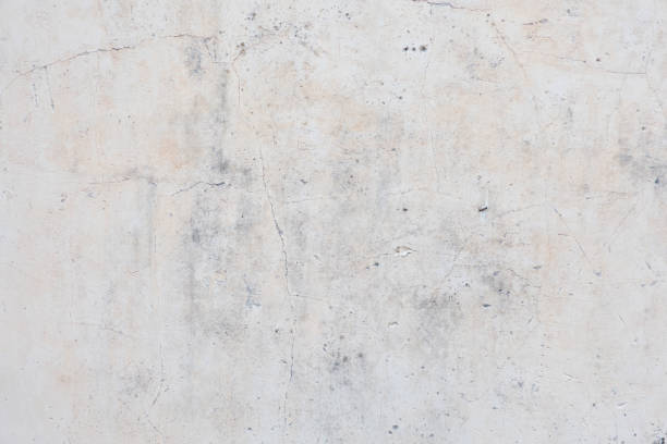istock Loft-style plaster walls, gray, white, empty space used as wallpaper. Popular in home design or interior design. with copy spaces. 1142134787