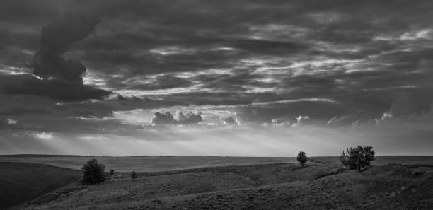 istock Fields landscape in summer sunset and sunrise 1142135907