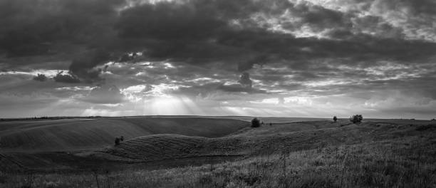 istock Fields landscape in summer sunset and sunrise 1142136573