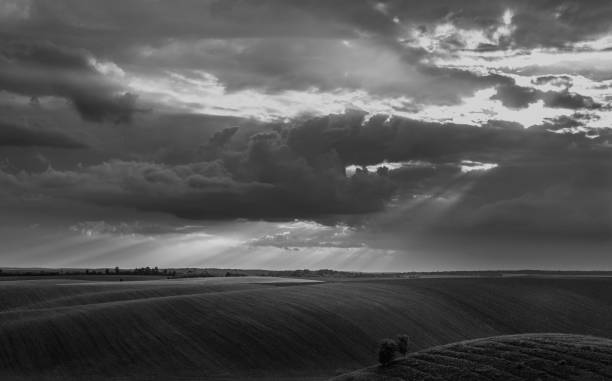 istock Fields landscape in summer sunset and sunrise 1142138997