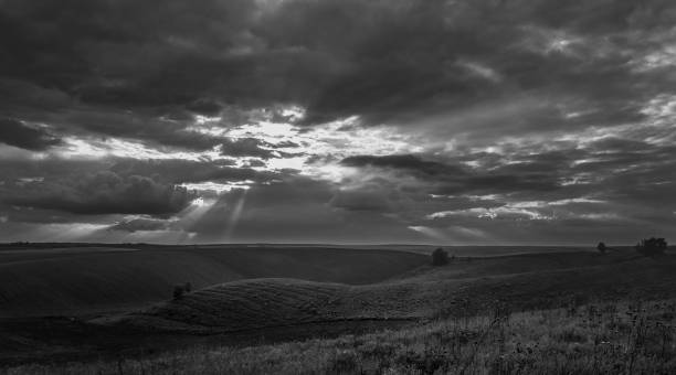 istock Fields landscape in summer sunset and sunrise 1142139147