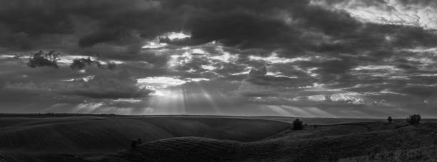 istock Fields landscape in summer sunset and sunrise 1142139407