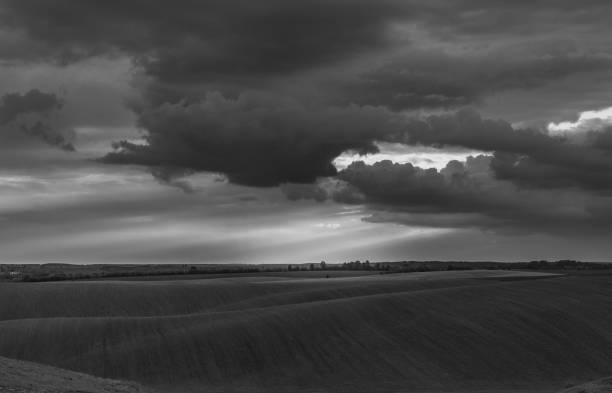 istock Fields landscape in summer sunset and sunrise 1142140150