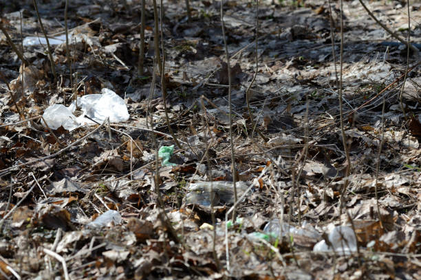 istock Garbage in the spring forest. The problem of ecology and pollution of nature 1142140158