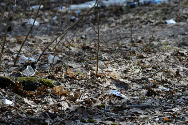 istock Garbage in the spring forest. The problem of ecology and pollution of nature 1142140168
