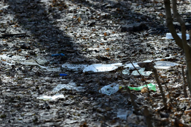 istock Garbage in the spring forest. The problem of ecology and pollution of nature 1142140171
