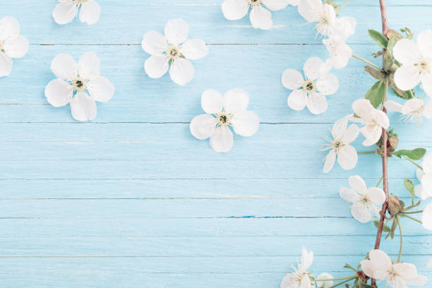 istock spring flowers on blue wooden background 1142144110