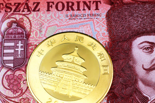 A Chinese gold panda coin with a 500 Hungarian forint bill stock photo