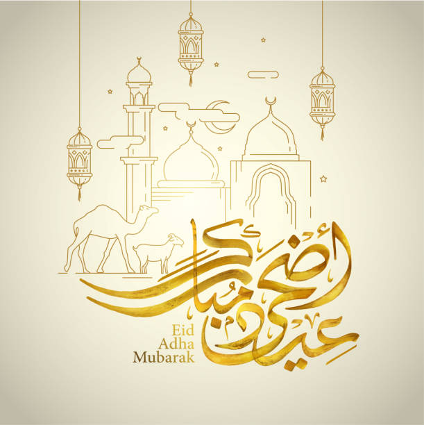 ilustrações, clipart, desenhos animados e ícones de caligrafia árabe de eid adha mubarak com linha carneiros da mesquita e ilustração do vetor do camelo para o cumprimento islâmico - eid al fitr