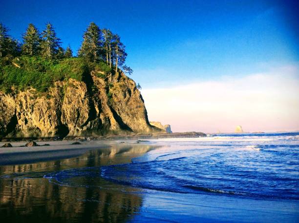 istock Relaxing Seascape at Olympic Natural Reserve 1142150107