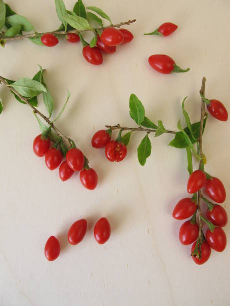 Freshly harvested goji berries, wolfberry on wooden board Freshly harvested goji berries, wolfberry on wooden board - Fresh goji berries, buckthorn berries on a wooden board wolfberry berry berry fruit red stock pictures, royalty-free photos & images