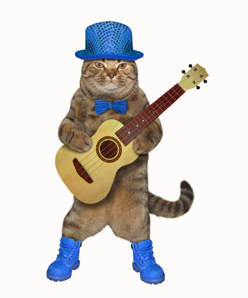 istock Cat plays the guitar in blue 1142155803
