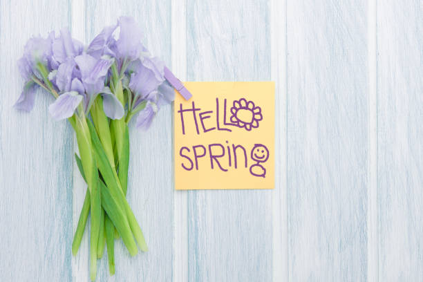 Hello spring funnny background with handwritten words