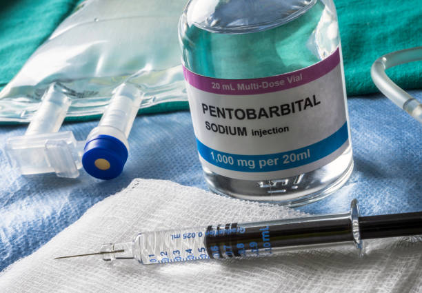 istock Vial With Pentobarbital Used For Euthanasia And Lethal Inyecion In A Hospital 1142165910