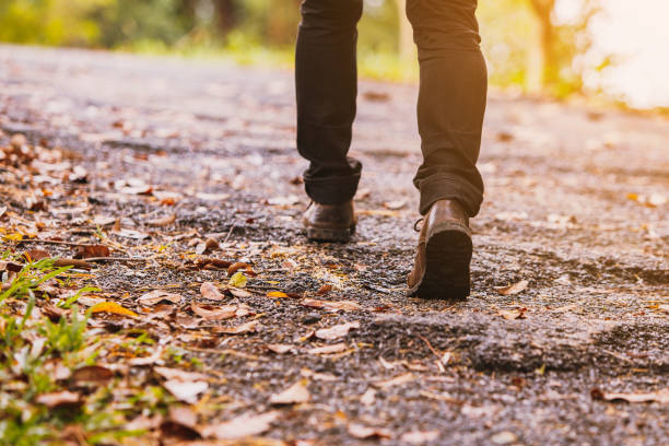 istock Hiking man traveling with backpack in mountains 1142166085