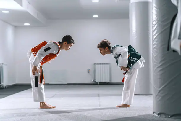 Two Caucasian boys in taekwondo fittings bowing at each other after combat.