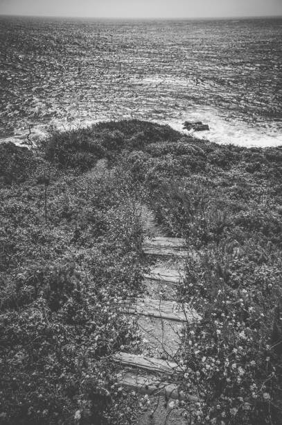 istock Wester coastline landscape, Black and white 1142171936