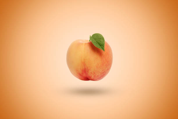 istock Peach on an orange background. Artistic background. 1142172226