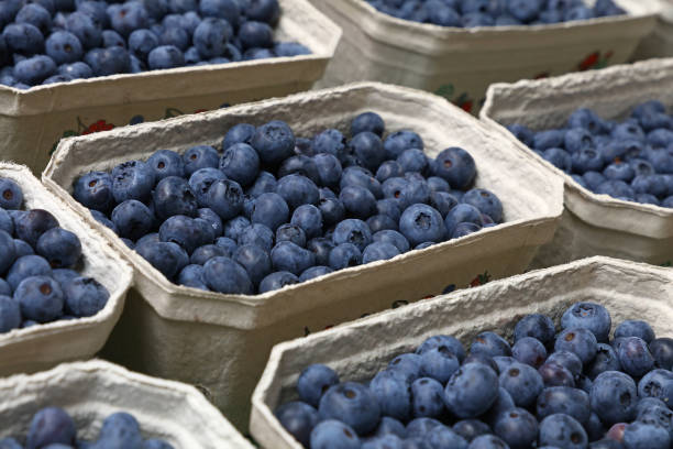 istock High Angle View Of Blueberries In Market 1142174323