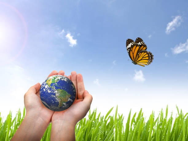 istock Cropped Hands Holding Globe Against Butterfly Flying Over Plants Against Sky 1142174365