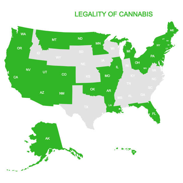 ilustrações de stock, clip art, desenhos animados e ícones de map with legality of cannabis in usa - legalization