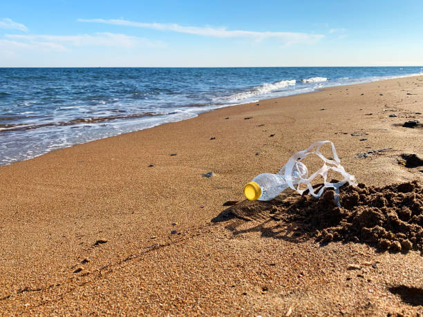 istock Plastic pollution. A plastic bottle and a six pack plastic rings on the beach shore 1142180379
