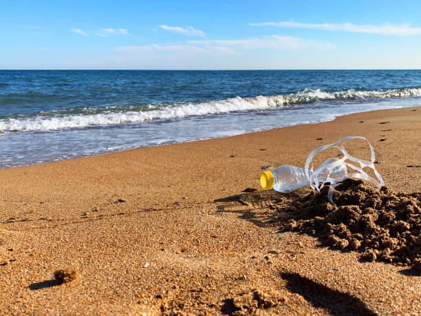 istock Plastic pollution. A plastic bottle and a six pack plastic rings on the beach shore 1142180383