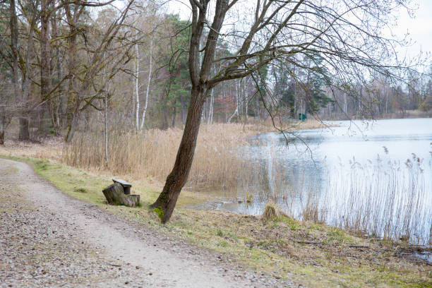 City Riga, Latvia. Lake and trees, spring. Old grass and nature. Travel photo 2019.12.04.