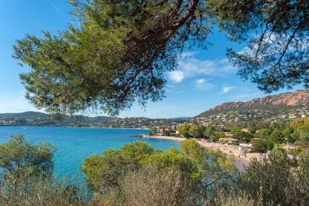 istock Coastal landscape near Agay 1142189183