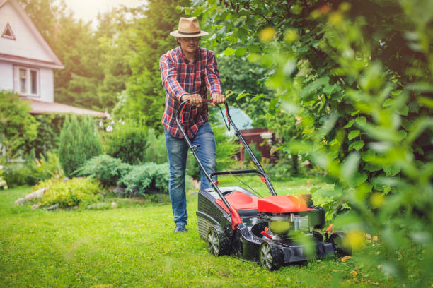 man using a lawn mower in his back yard - lawn mower red plant lawn imagens e fotografias de stock