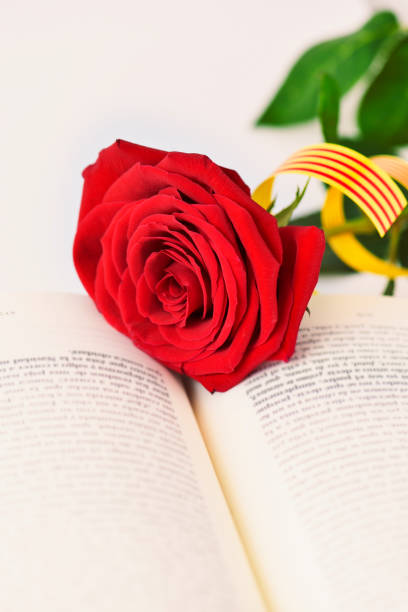 istock book, red rose and catalan flag 1142189324